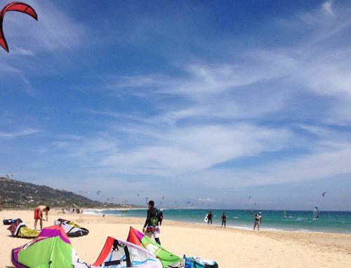 Tarifa breaks the record, 352 kiters at a time!