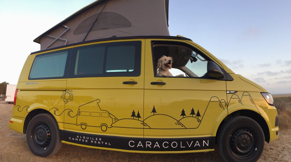 travelling with your pet in a van